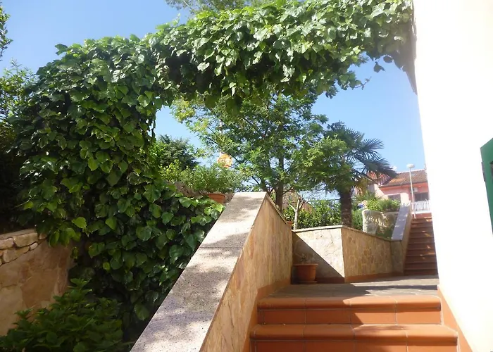 Suran * Rovinj